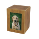 Natural Photo Urn for Pets
