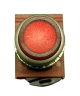 Illuminated Push Button, Red